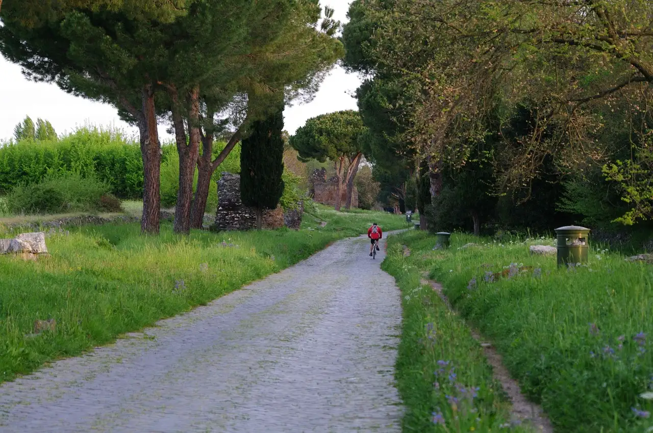 The old Appian Way, a stone road lined with grass and pine trees
