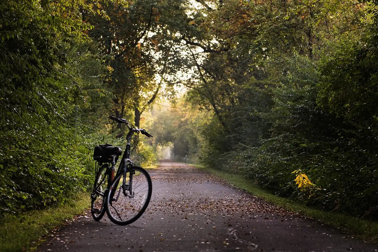 A bicycle parked on a path under green trees