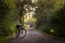 A bicycle parked on a path under green trees