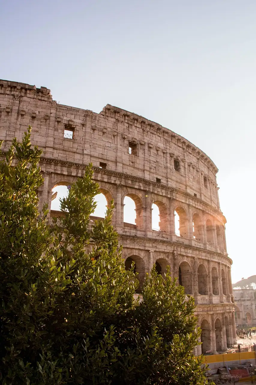 The Colosseum in warm late light, with a tree in front
