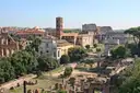 The Roman Forum with ruins and umbrella pines, and the Colosseum in the distance