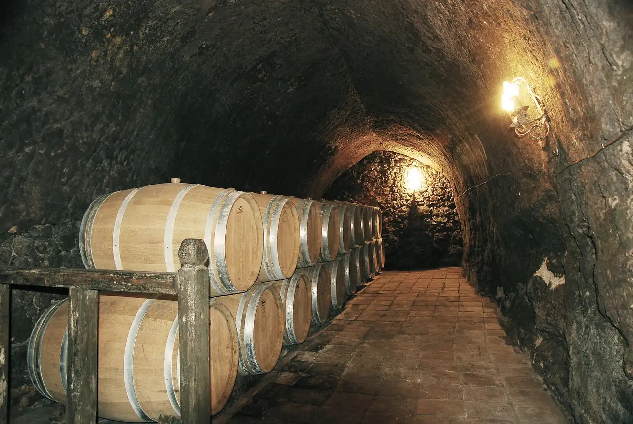 Wine barrels lined up in a cave cellar with stone walls